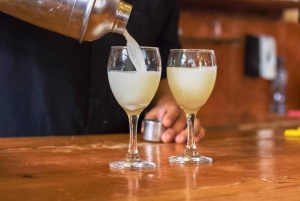 Lima: Lights, Pisco, and Fun Night Tour and Pisco Tasting