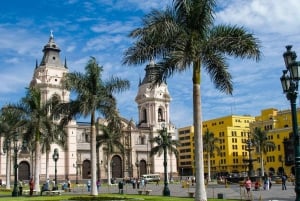 Lima: LIM lentokentältä Liman kaupunkiin tai hotelliin Yksityinen kuljetus