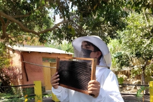 Lima: Lunuhuaná Extremo All In +Cerro Azul +Rafting +Cuatrimoto +Canopy