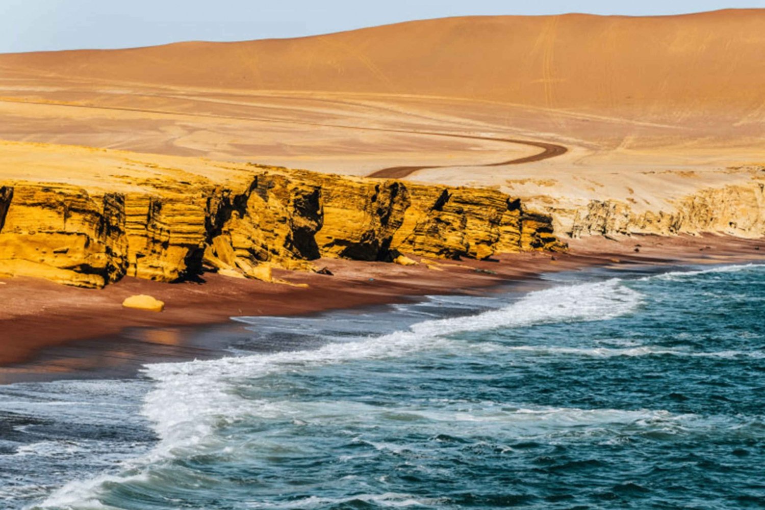 Best tours from Paracas