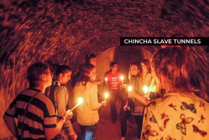 Lima: Luxury Bus Day Tour to Paracas & Secret Slave Tunnels