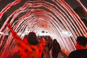 Lima: Magic Water Circuit & Laser Light Show