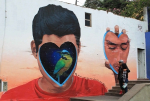Lima: Miraflores, Barranco and San Isidro tour