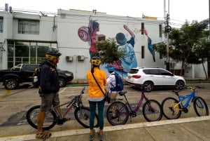 Lima: Miraflores & Barranco begeleide fietstocht