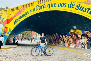 Lima: Miraflores & Barranco begeleide fietstocht