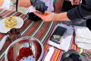 Lima - Miraflores: Peruvian cooking classes, Pisco Sour, and exotic fruits