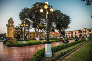 Lima: Modern Lima City Tour and Pedro de Osma Museum