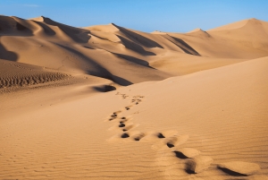 Lima: Nazca Lines Overflight from Pisco and Oasis Huacachina