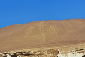 Lima: Nazca Lines Overflight from Pisco and Oasis Huacachina