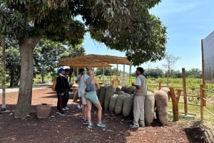 Lima: Nazca Lines Overflight from Pisco and Oasis Huacachina