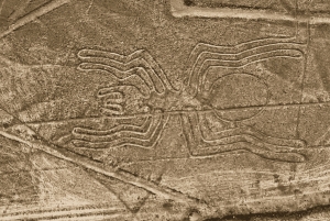 Lima: Nazca Lines Overflight from Pisco and Oasis Huacachina