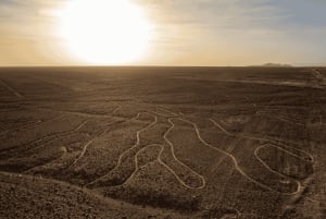 Lima: Nazca Lines Overflight from Pisco and Oasis Huacachina