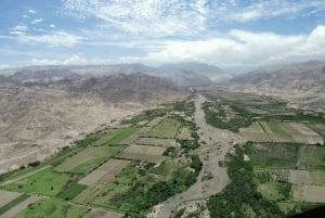 Lima: Nazca Lines Overflight from Pisco and Oasis Huacachina