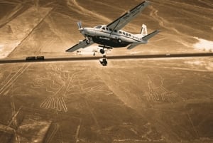 Lima: Nazca Lines Overflight from Pisco and Oasis Huacachina