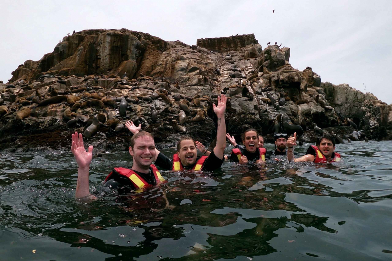 Lima: Ocean Swimming Adventure with Playful Sea lions