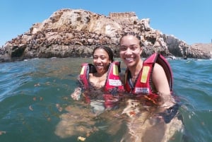 Lima: Ocean Swimming Adventure med lekne sjøløver