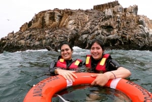 Lima : Aventure de baignade dans l'océan avec des lions de mer joueurs