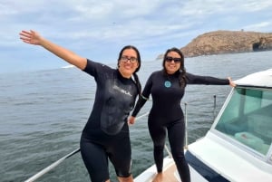 Lima : Aventure de baignade dans l'océan avec des lions de mer joueurs