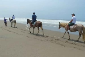 Pachacamac heiligdom vanuit Lima | Halfdaagse tour