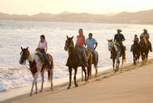 Pachacamac heiligdom vanuit Lima | Halfdaagse tour