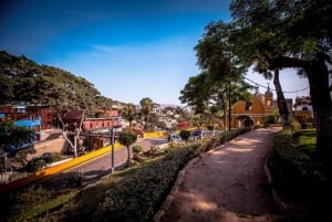 Lima: Pachacamac-ruinene og Barranco halvdagstur med guide