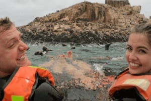Lima: Palomino Islands Private Tour & Sea Lions + Pick-Up