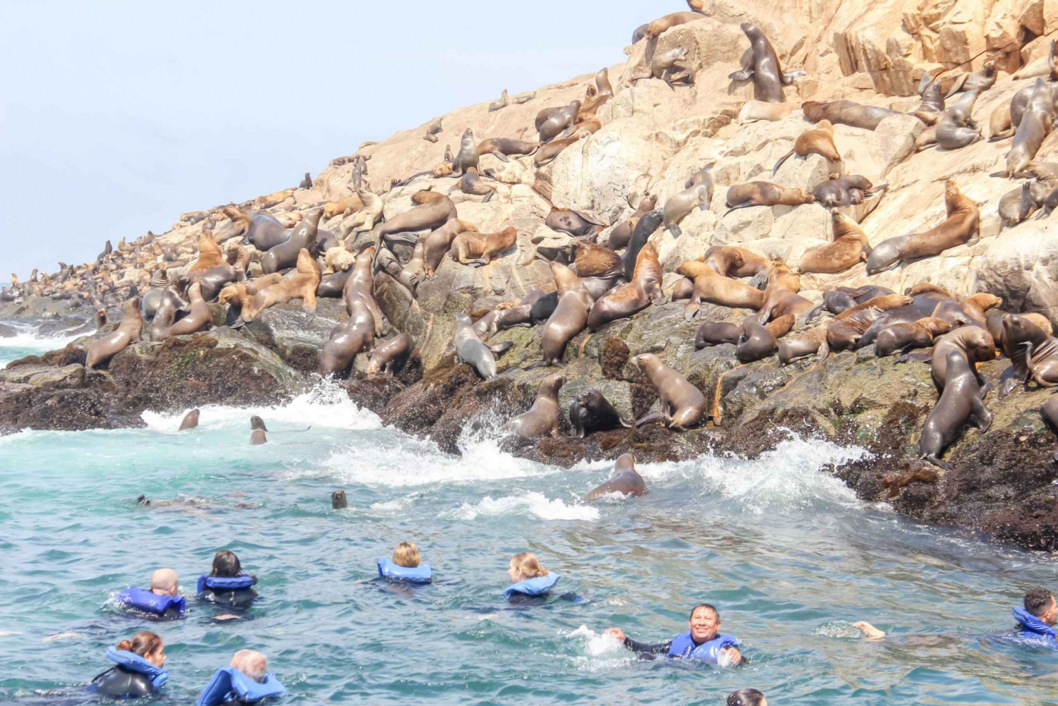 Lima: Palomino Islands Speedboat Tour & Swim with Sea Lions