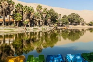 Lima: Visita guiada de um dia a Paracas e ao Oásis de Huacachina