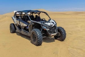Lima: Visita guiada de um dia a Paracas e ao Oásis de Huacachina
