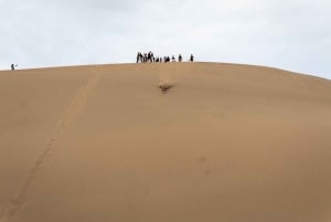 Lima: Visita guiada de um dia a Paracas e ao Oásis de Huacachina