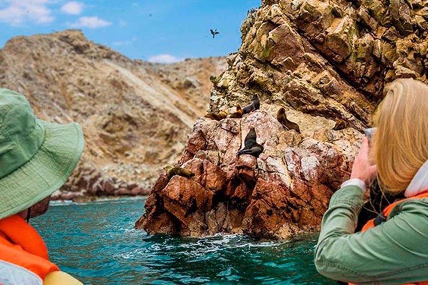 Lima: Paracas, Ballestas Island, and Slave Tunnel Day Tour