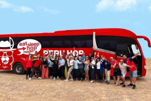 Lima: Paracas, Ballestas Island, and Slave Tunnel Day Tour