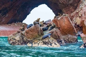 Lima: Paracas, Ballestas Island, and Slave Tunnel Day Tour