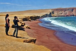 Lima: Paracas, Ballestas Island, and Slave Tunnel Day Tour