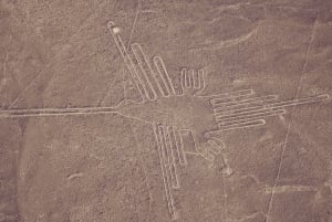 Lima: Paracas, Huacachina, Nazca Lines Flight + Antonini Museum