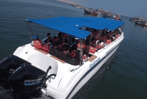 Lima: Paracas, Huacachina, Nazca Lines Flight + Antonini Museum