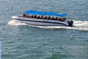 Lima: Dagsudflugt til Paracas og Huacachina-oasen med vin og klitter
