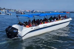Lima: Dagsudflugt til Paracas og Huacachina-oasen med vin og klitter