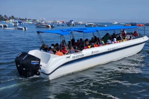 Lima: Paracas & Huacachina Oasis Day Trip with Wine & Dunes