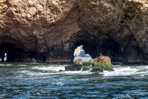 Lima: Paracas & Huacachina Oasis Day Trip with Wine & Dunes