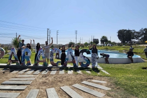 Lima: Paracas & Huacachina Oasis Day Trip with Wine & Dunes