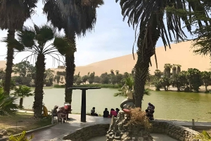 Lima: Paracas & Huacachina Oasis Day Trip with Wine & Dunes