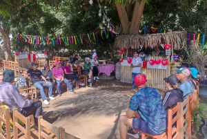 Lima: Paracas & Huacachina Oasis Day Trip with Wine & Dunes