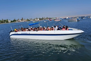 Lima: Paracas & Huacachina Oasis Day Trip with Wine & Dunes