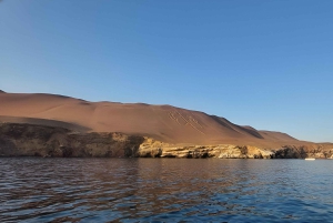 Lima: Paracas & Huacachina Oasis Day Trip with Wine & Dunes
