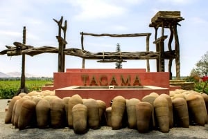 Lima: Paracas, Ica & Huacachina spiritual and adventure tour