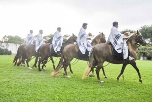 Lima: Peruvian Paso Horse Show with Lunch or Open Bar