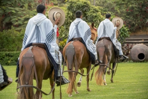 Best private tours in Lima, Peru