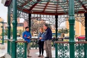 Lima: Peruvian wine tasting in an exclusive environment