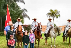 Lima: Premium Peruvian Horse Show with Lunch & Transfers